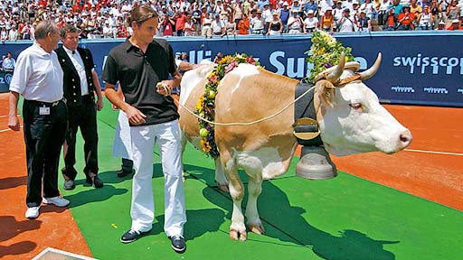 Roger Federer with his Cow