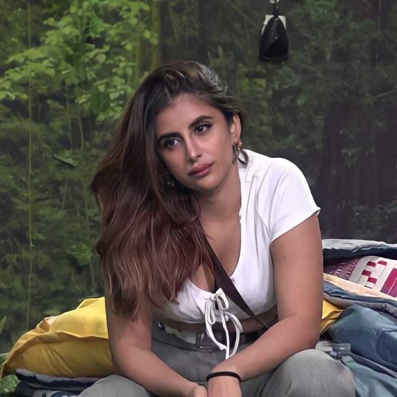 Miesha Iyer Hot picture from Big Boss 15